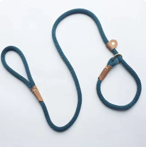 Adjustable Slip Lead Dog Leash – Comfort Grip, 5ft, Small to Large Dogs